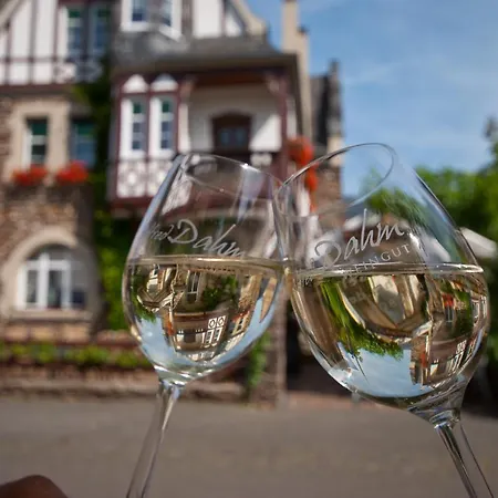 Wein- Und Feriengut Alfred Dahm Пюндерих