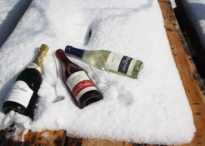 Wein- Und Feriengut Alfred Dahm * Pünderich